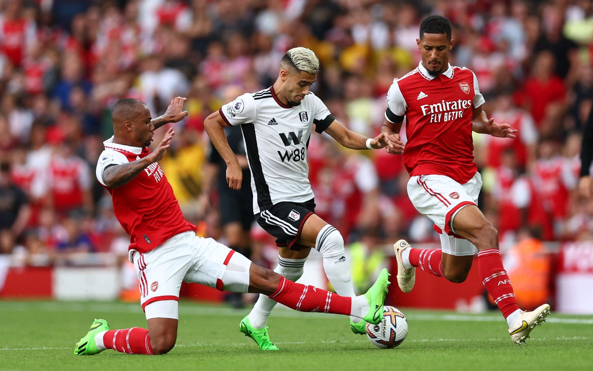 广东队的总 广东队的总