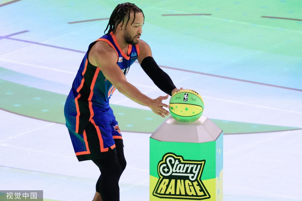 钻进了网窝 钻进了网窝